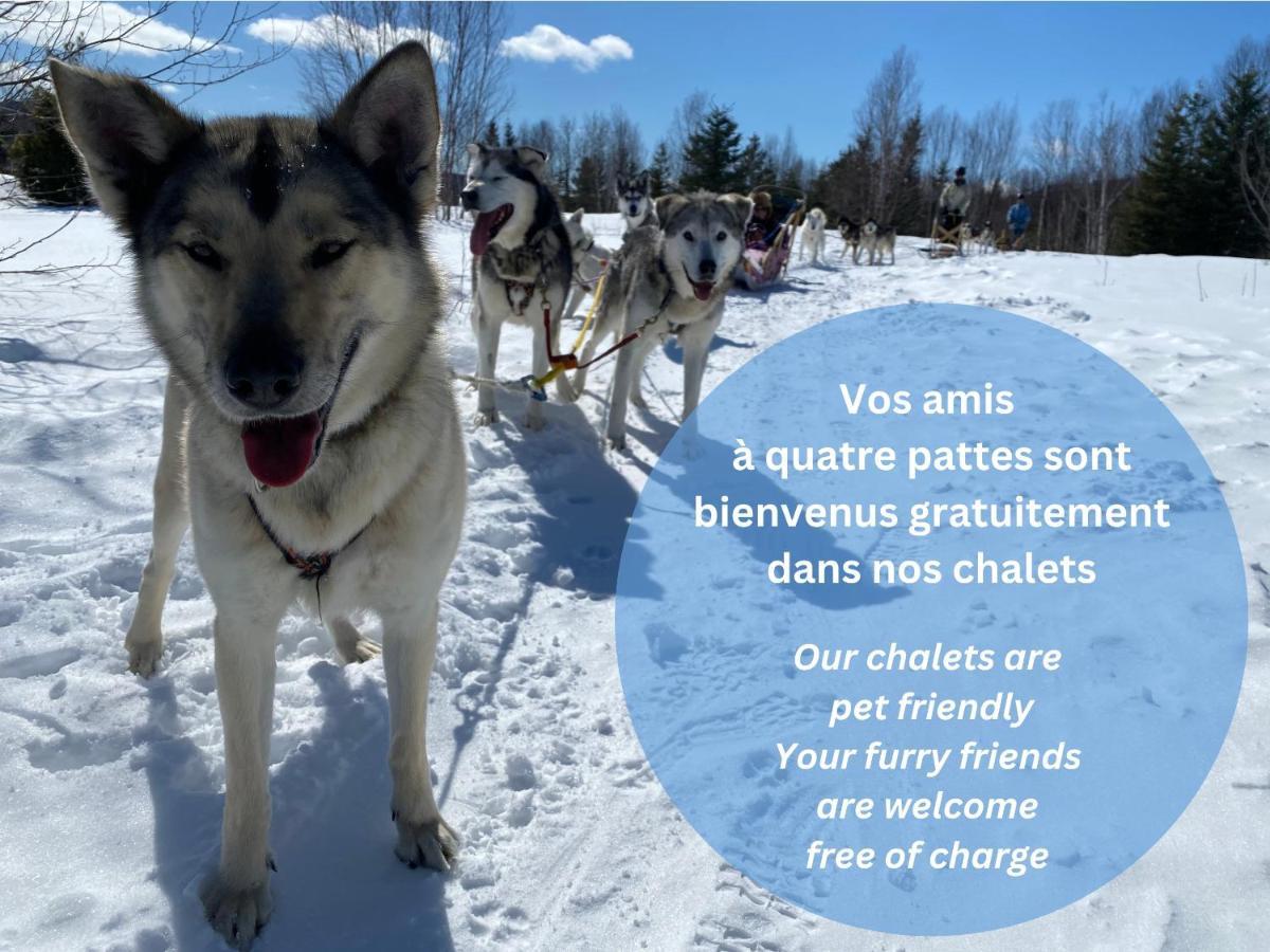 Husky - Chalets De Moh - Jacuzzi Ла Мале Екстериор снимка